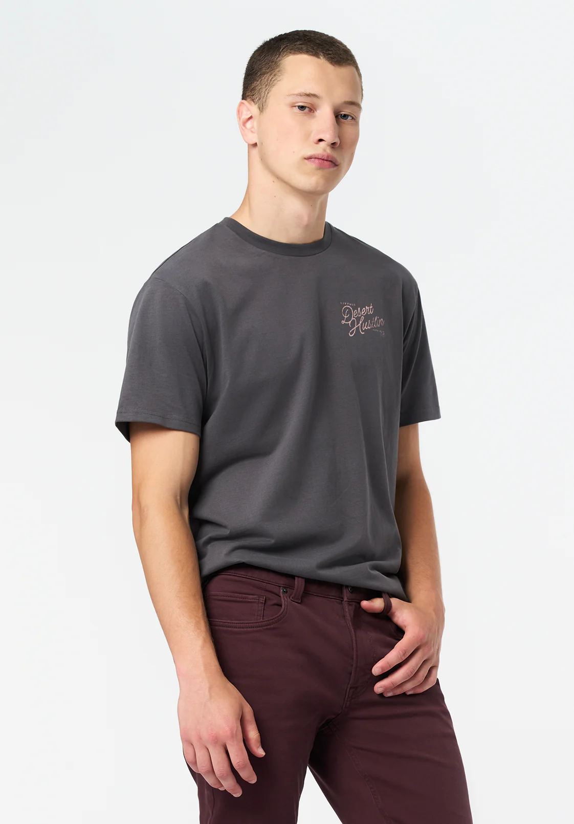 Tavian Men's Desert Hustlin Print Graphic Tee, Gray Pinstripe - BM24711 - Image 3