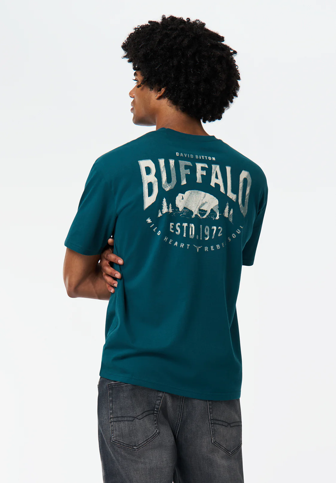 Tilden Men's Buffalo And Rebel Soul Print Graphic Tee, Deep Teal - BM24708 - Image 2