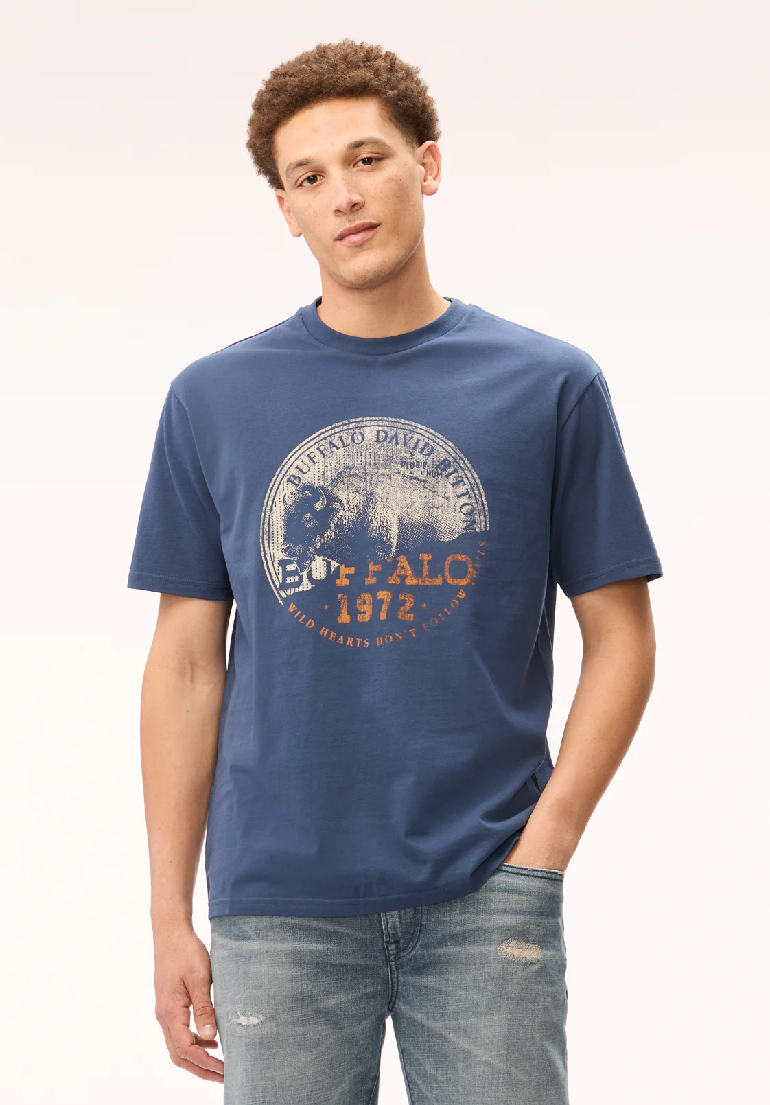 Tyric Men's Vintage Buffalo Stamp Graphic Tee, Whale - BM24892 - Image 4