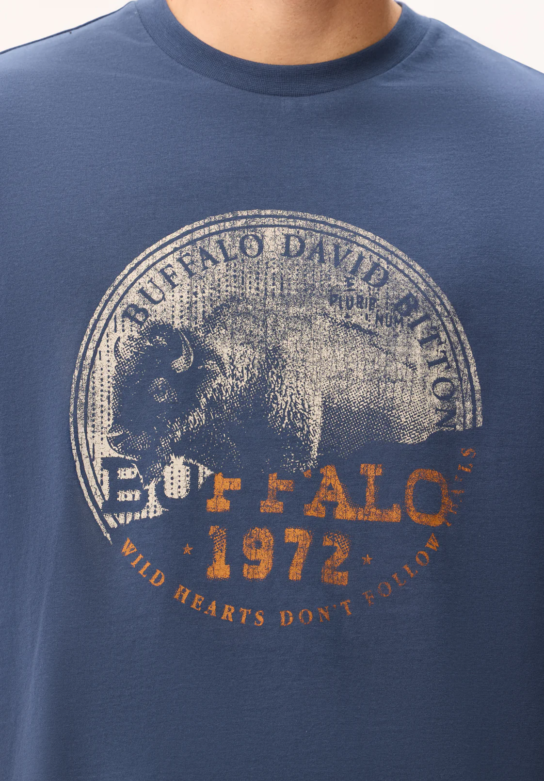 Tyric Men's Vintage Buffalo Stamp Graphic Tee, Whale - BM24892 - Image 5