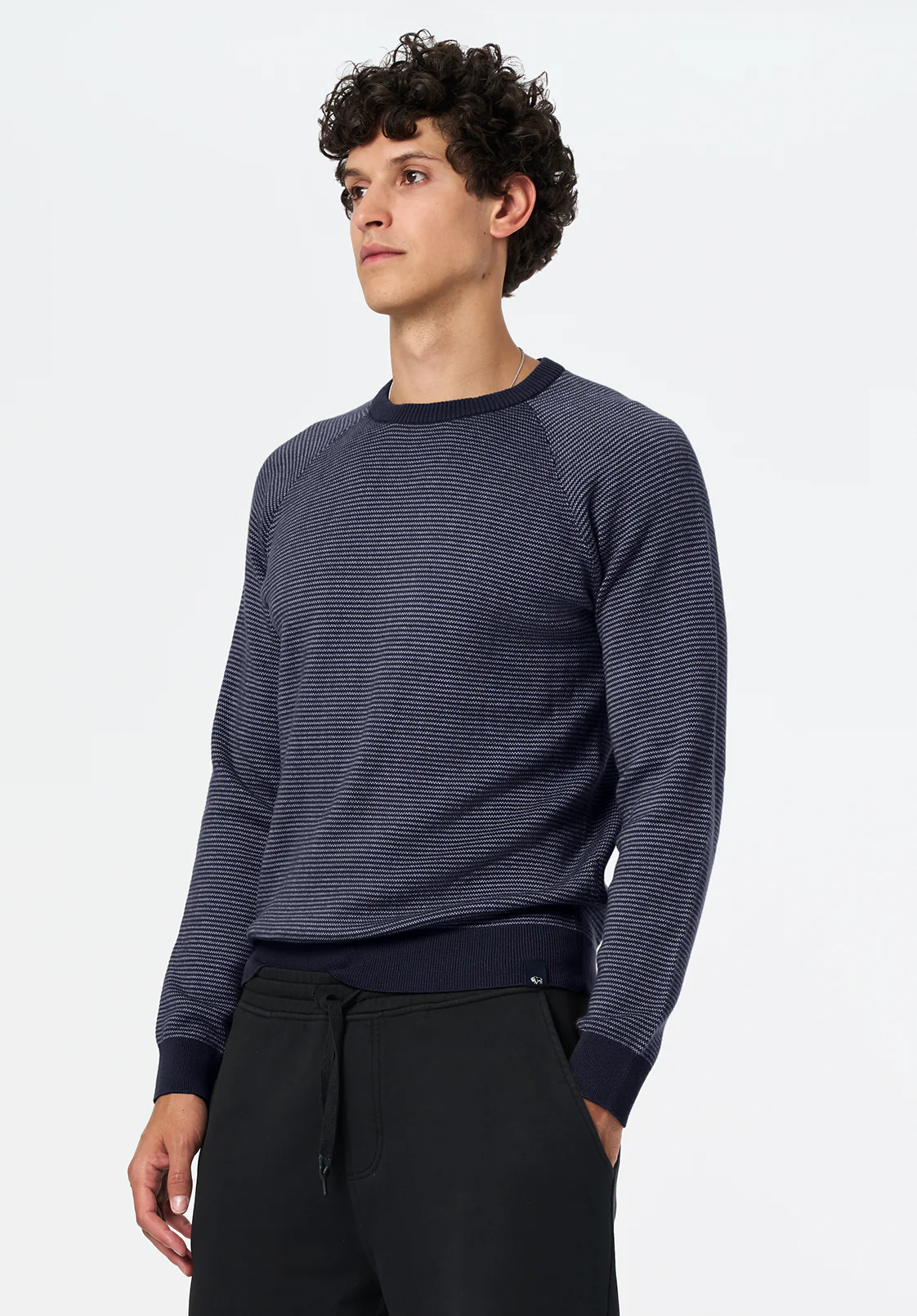 Watford Men's Textured Raglan Sweater, Whale - BM24684 - Image 3